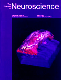 JNS Cover 1995
