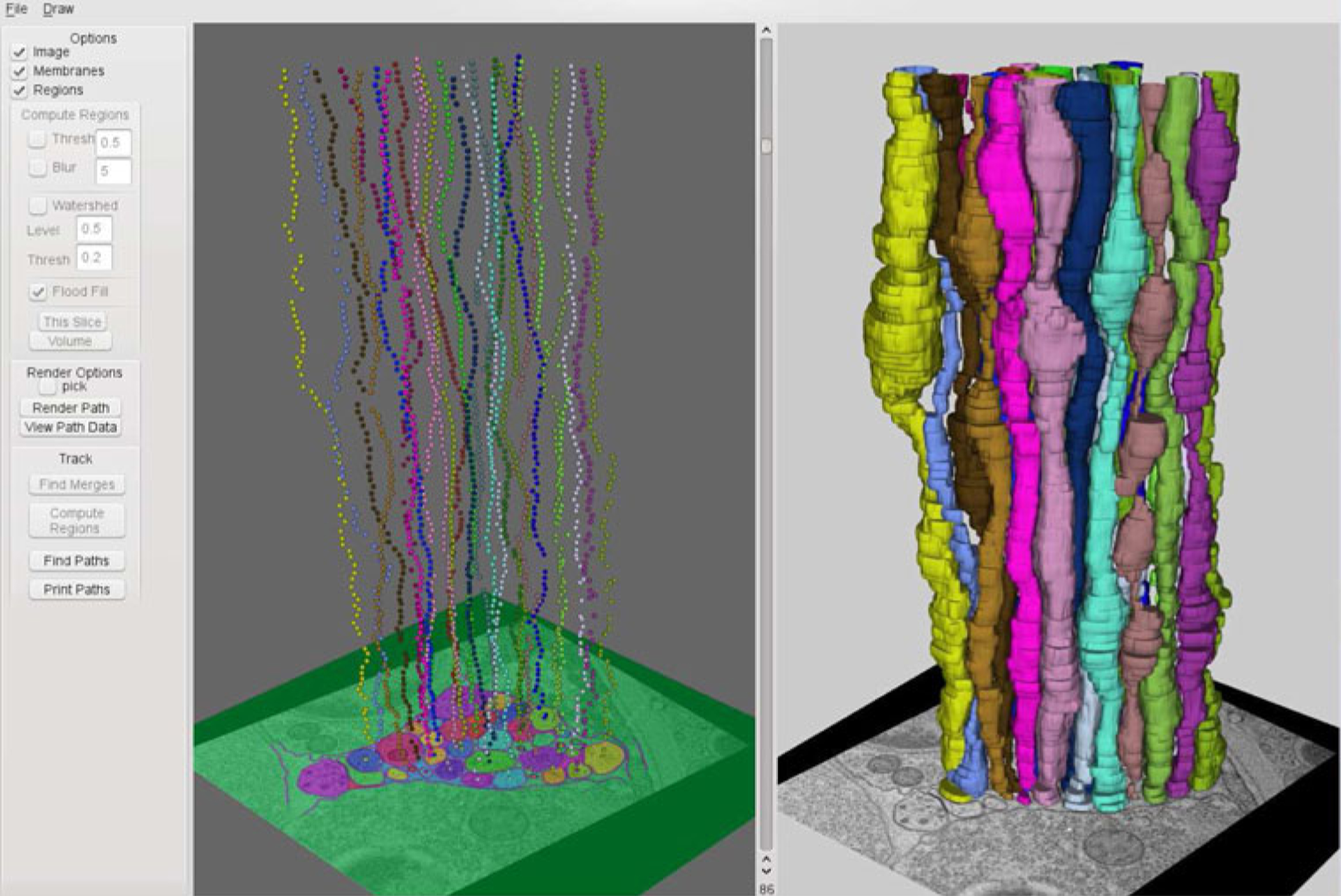 Semi-automated neuron detection